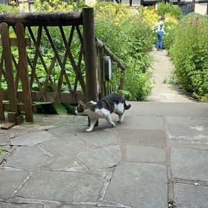 Meet your Posher, Reagan